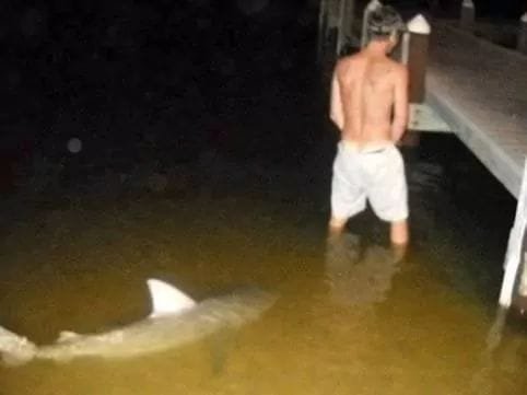 54200837_10214511213755985_891461831409795072_n.jpg__nc_cat=103&_nc_ht=scontent-mia3-1.jpg