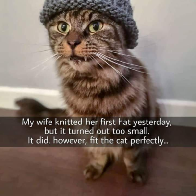 1754196076826.png