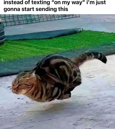 1754417415017.png