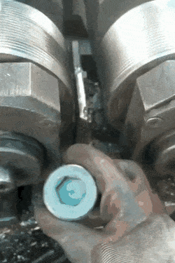 CircularShrillGrouse-size_restricted.gif