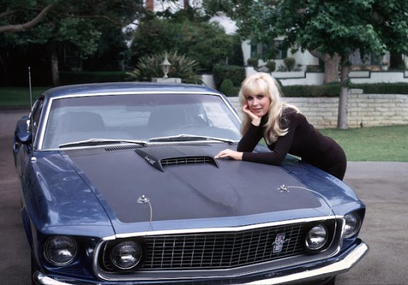 Barbara-Eden-barbara-eden-40924623-3604-2360.jpg