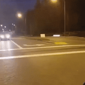ElasticOrdinaryIchneumonfly-size_restricted.gif