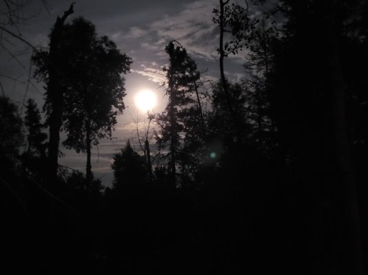 20250808_223544.jpg