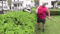 200w.gif