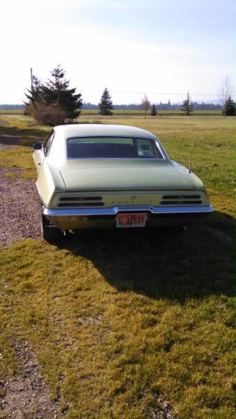 owner-bought-this-1969-firebird-drove-it-for-1761-miles-now-selling-with-29605-miles_9.jpg