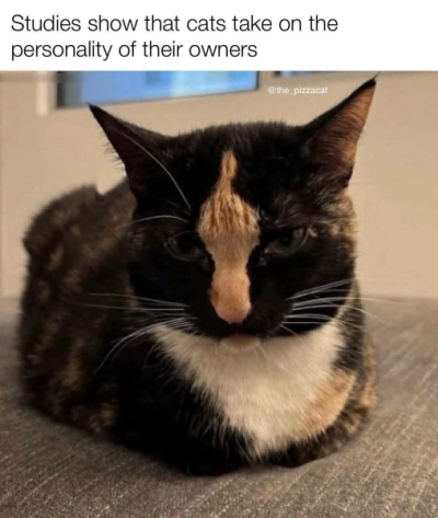 1755108636855.png