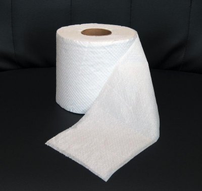 toilet-paper[1].jpg