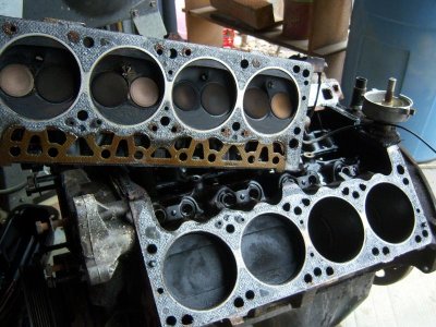 100_5876.jpg 100_5876.jpg