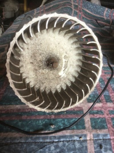 IMG_9314.jpeg