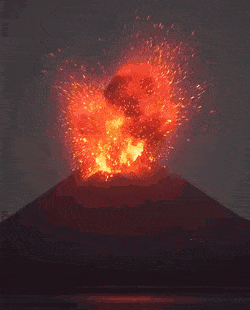 BlackForthrightAsiaticlesserfreshwaterclam-size_restricted.gif