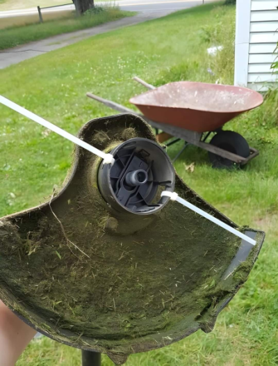 1755453837123.png