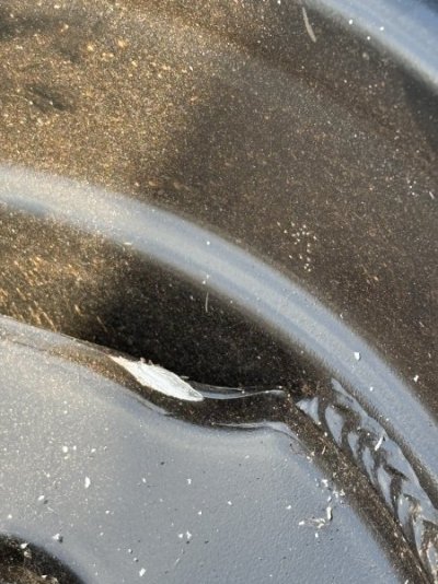 IMG_6130.jpeg