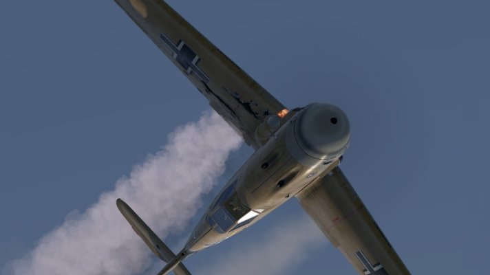 54083864256_1e2b53dc4c_b.jpg