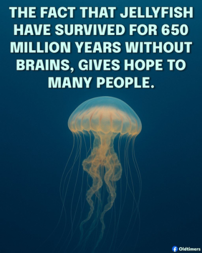 1755625498788.png