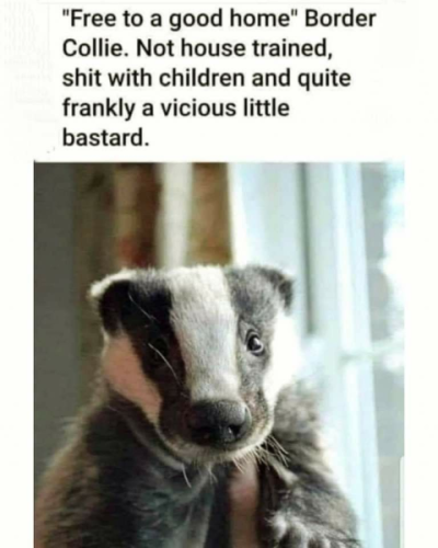 1755769622772.png