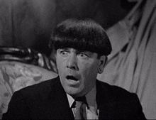 three-stooges-moe-larry-curly.gif