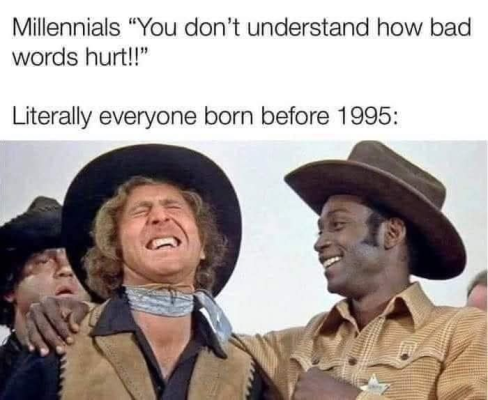 1756142077480.png