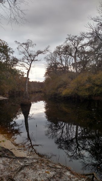 IMG_20191127_131113342_HDR.jpg
