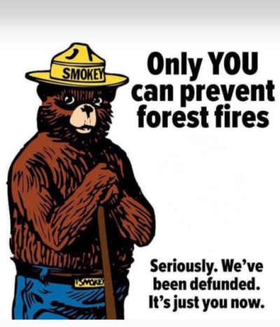 1756256887385.png