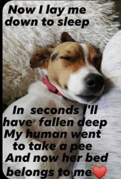1756317408270.png