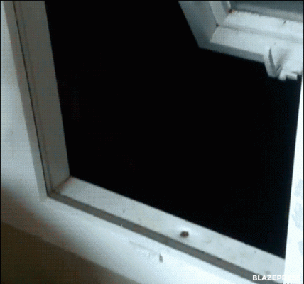 tumblr_obgc7yWYk21s87roao1_500 (1).gif