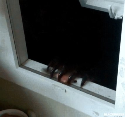 tumblr_obgc7yWYk21s87roao1_500 (1)_page_0039.jpg