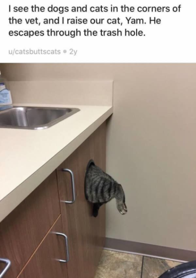 1756526590376.png