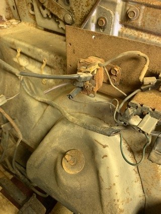 IMG_4296.jpeg