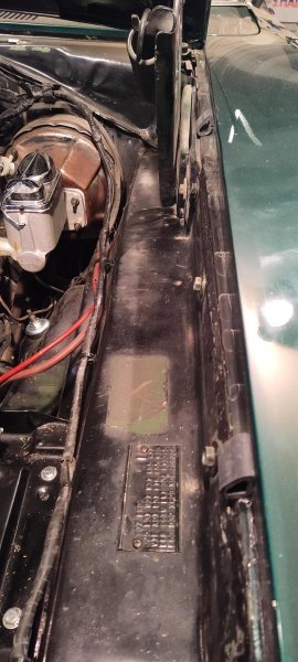 IMG_20250831_152548 (Large).jpg