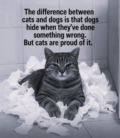 1756835810929.png