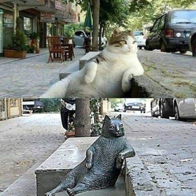 1756836007334.png
