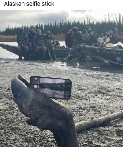 1756857020678.png