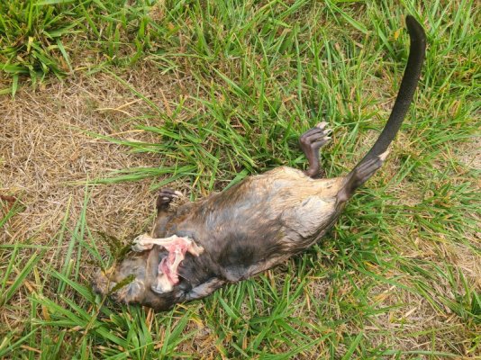 20250905_085758.jpg 20250905_085758.jpg