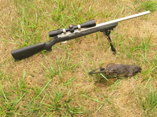 20250905_090416.jpg 20250905_090416.jpg