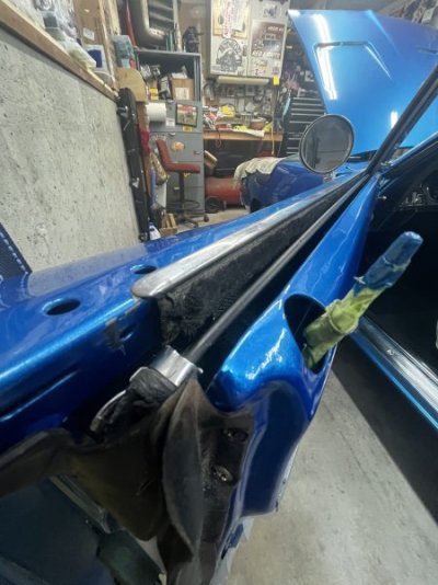 IMG_7477.jpeg IMG_7477.jpeg