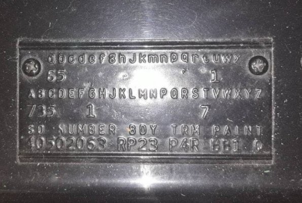 fender-tag (2).jpg
