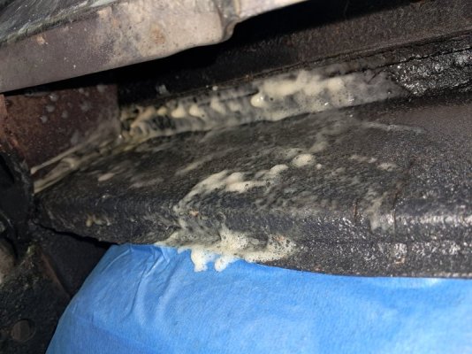 20250912_123425 1st coat.jpg