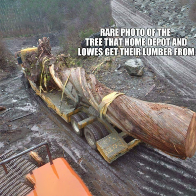 1757677411893.png