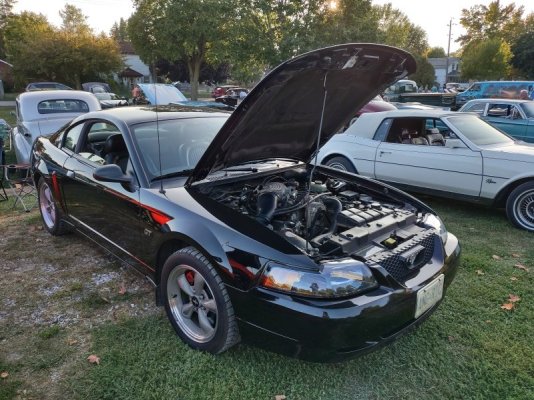 IMG_20250915_183226958_HDR.jpg