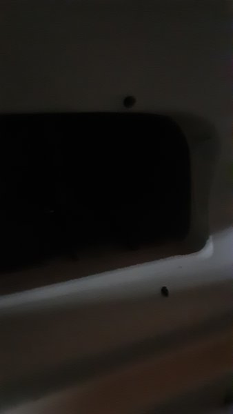 20250918_063339.jpg