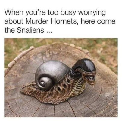 1758218605701.jpeg
