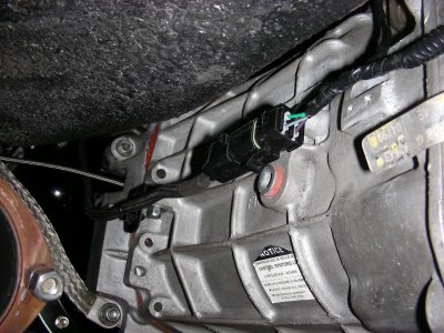 DSCN9664.jpg DSCN9664.jpg