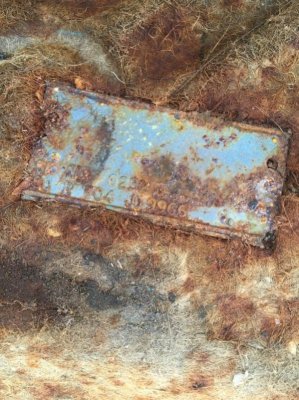 IMG_2191 (600x800).jpg