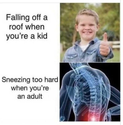 1758754701626.jpeg