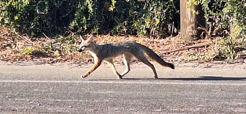 20250926_073854.jpg