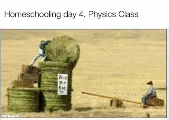 1758939759217.png
