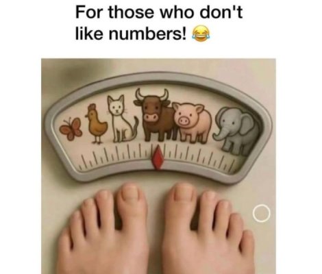 1758964246590.jpeg