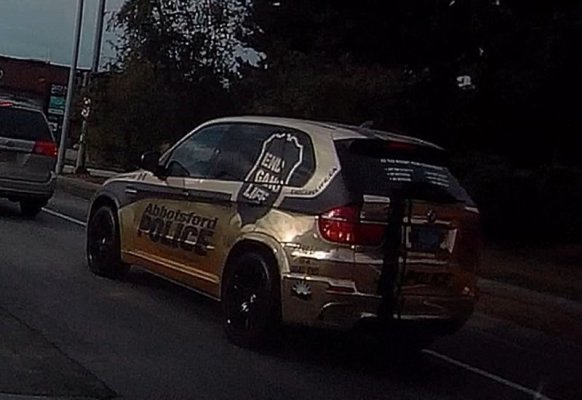 gold police 1.jpg