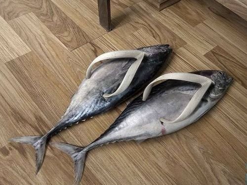 Fish-Flops-Pinterest__684b88ac6e.jpg