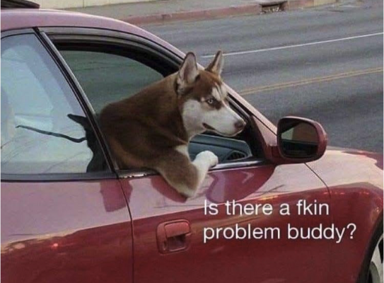 1757801398264.png